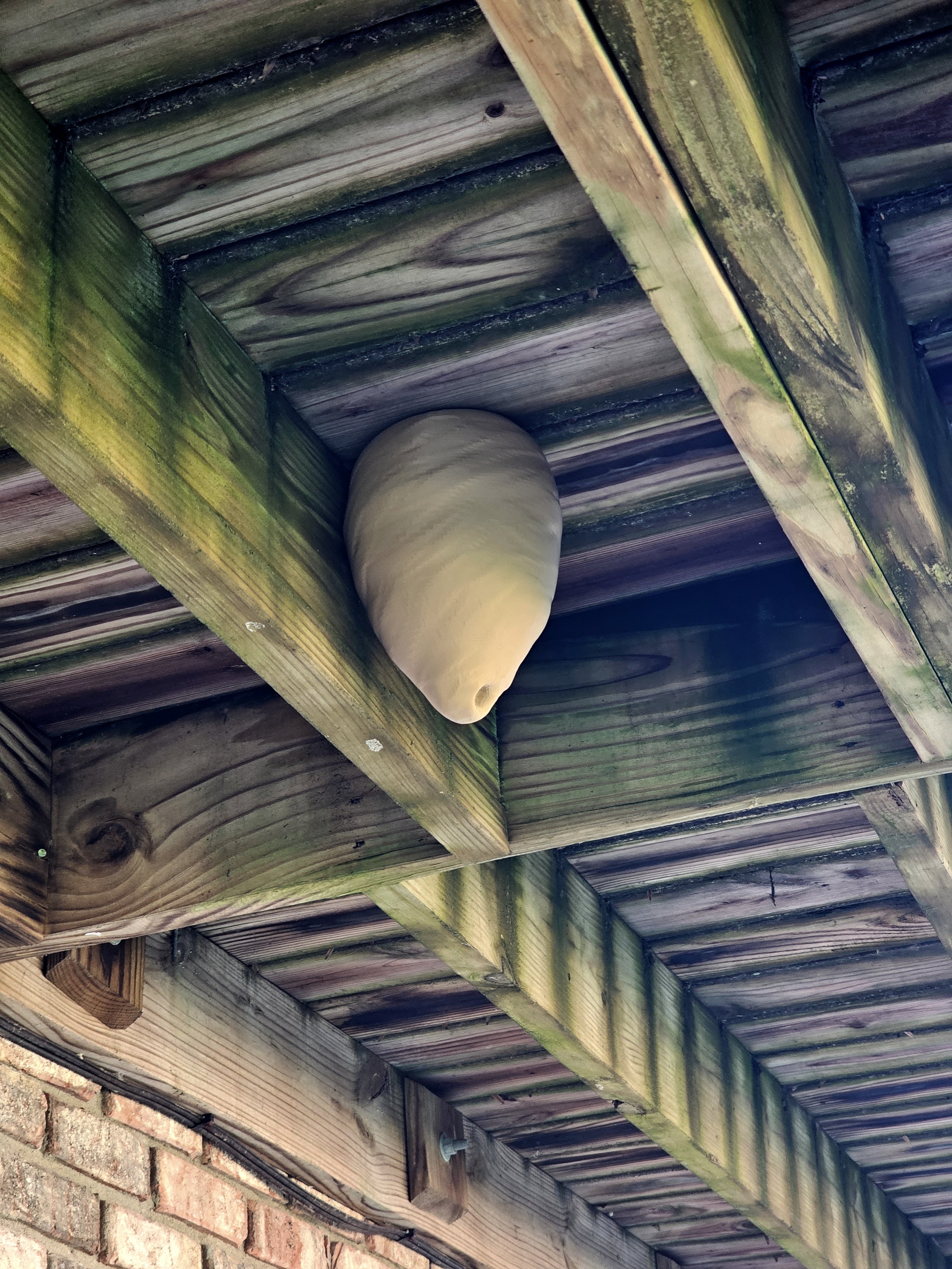 Decoy Wasp Hornet Nest