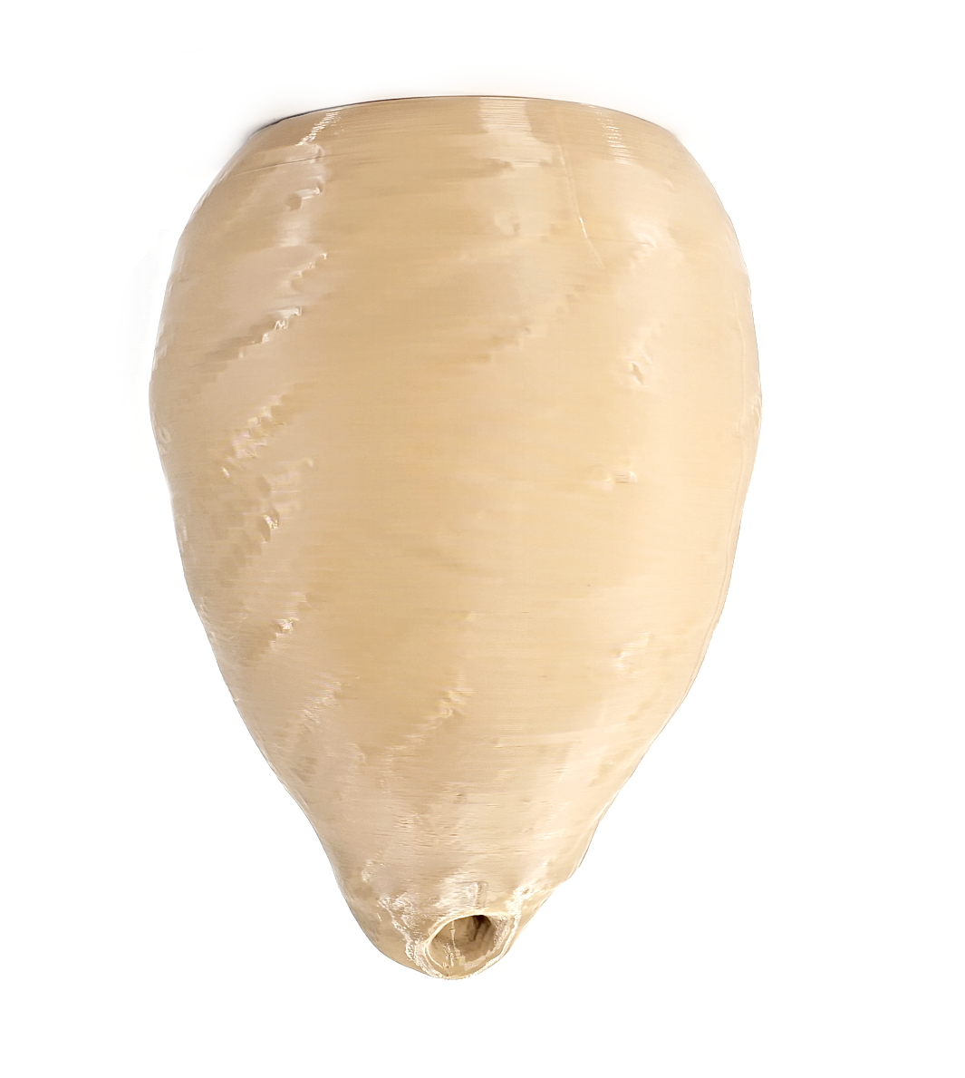 Decoy Wasp Hornet Nest
