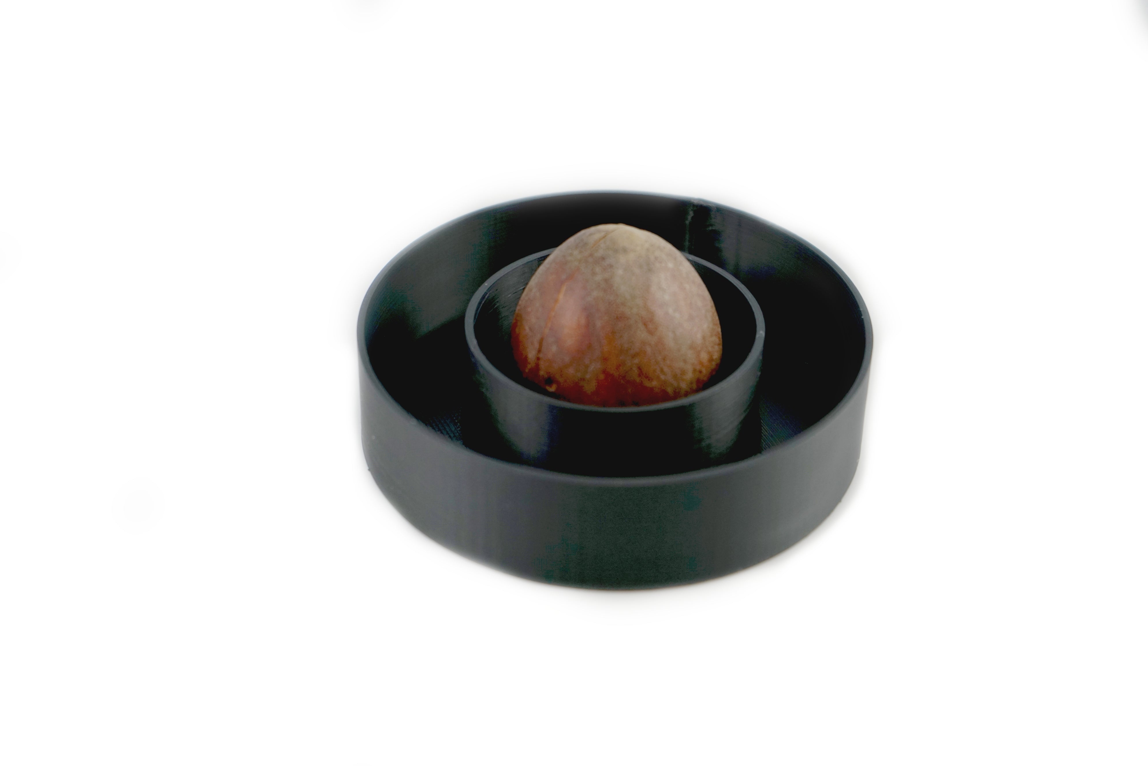Avocado Pit/Tree Growing Bowl/Boat